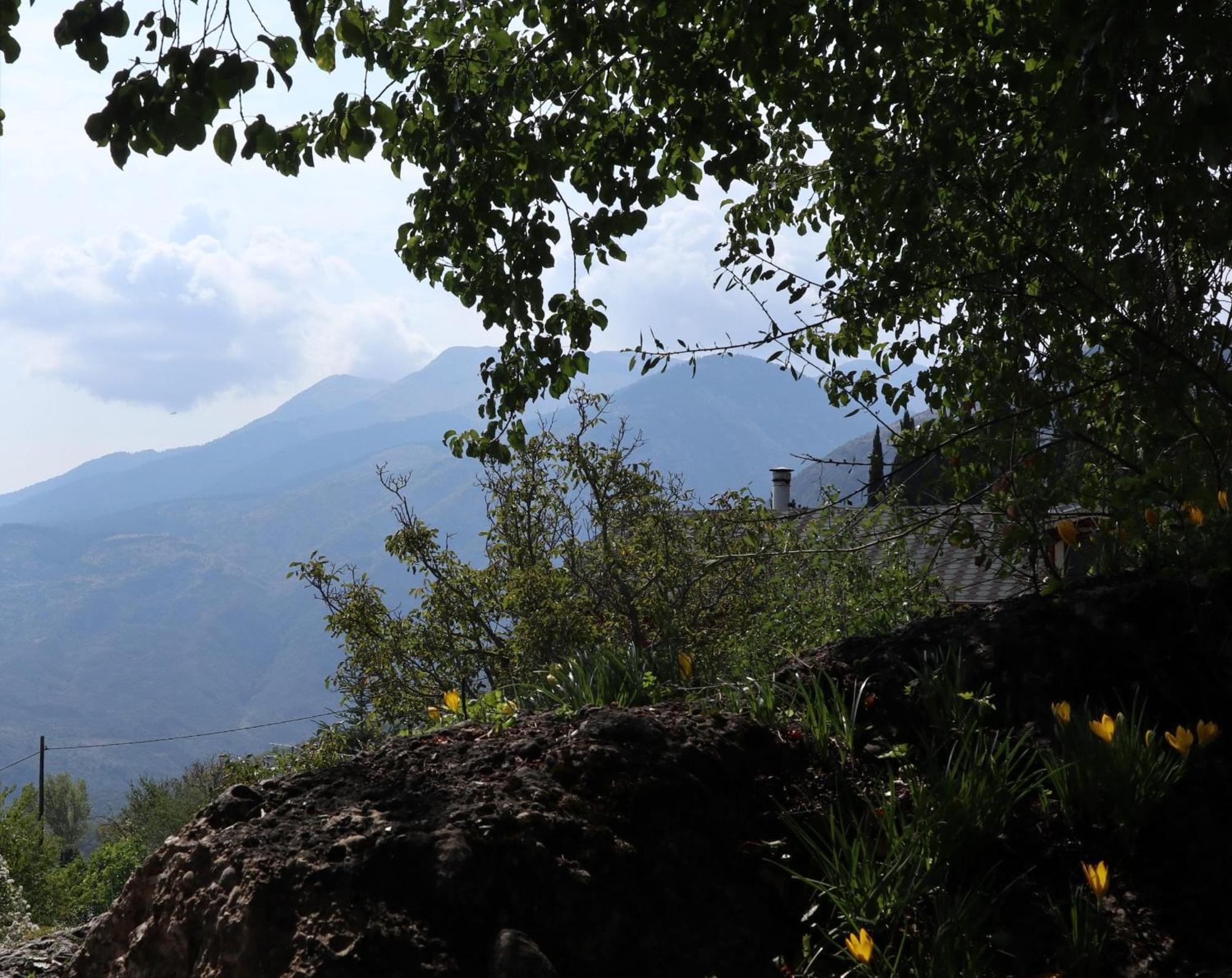 Μικρή Ζήρεια Ενοικιαζόμενη Κατοικία Synikia Mesi Trikalon Exterior foto