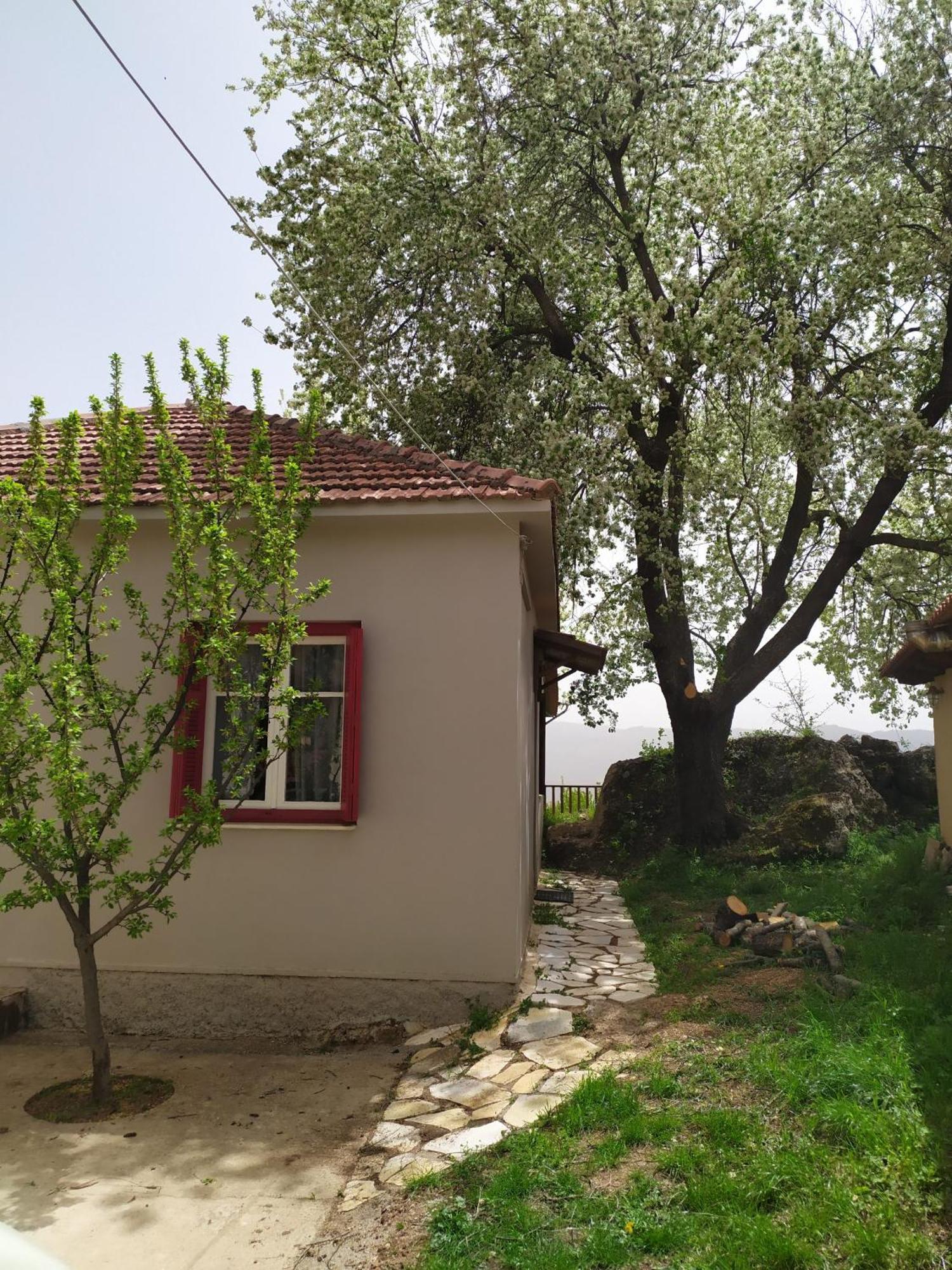 Μικρή Ζήρεια Ενοικιαζόμενη Κατοικία Synikia Mesi Trikalon Exterior foto